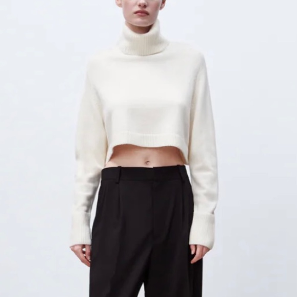 Zara High Collar Knit Sweater
